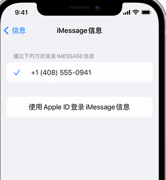 化隆apple维修iPhone上无法正常发送iMessage信息 