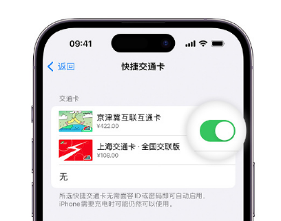 化隆apple维修点分享iPhone上更换Apple Pay快捷交通卡手绘卡面 