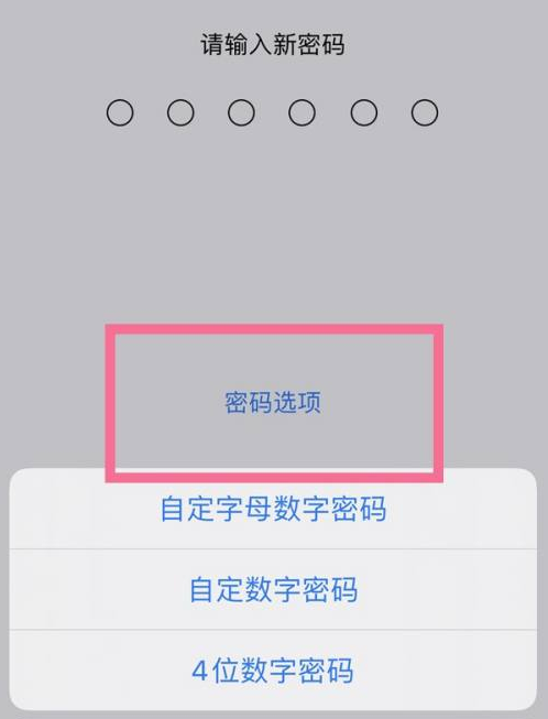 化隆苹果14维修分享iPhone 14plus设置密码的方法 