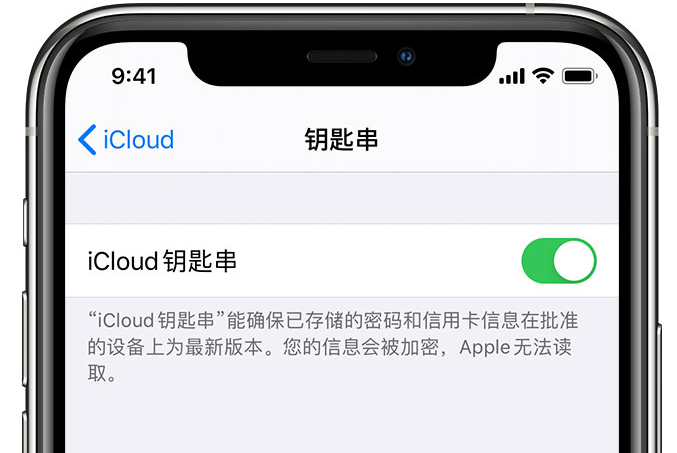 化隆苹果手机维修分享在 iPhone 上开启 iCloud 钥匙串之后会储存哪些信息 