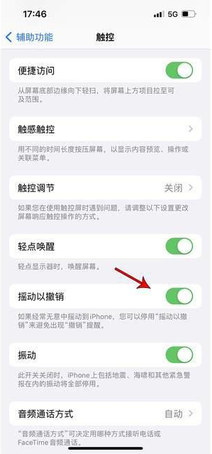 化隆苹果手机维修分享iPhone手机如何设置摇一摇删除文字 