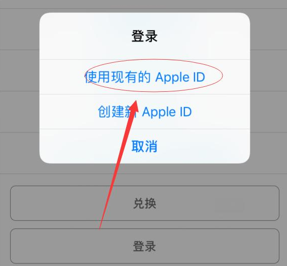 化隆苹果手机维修分享两台iPhone设备可以同时登录一个Apple ID吗 