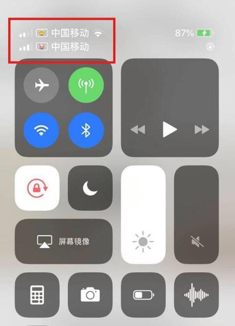 化隆苹果手机维修分享为 iPhone 12 双卡设置标签 